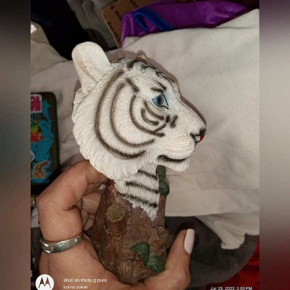 Blue Eyed Siberian Bengal White Tiger Bust Desktop Plaque Figurine - Picture 6 of 6